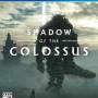 shadow_of_the_colossus_cover_ps4.jpg